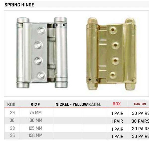 Spring Hinge