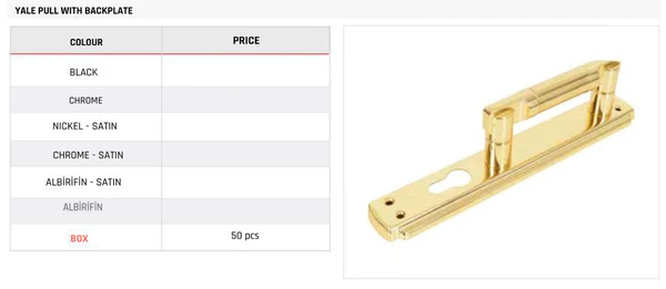 Yale Pull with Backplate